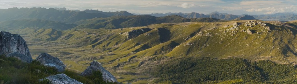 Big panoramic view of an alpine mountain range in the south west national park. The forground is shady but the mountains are bathed in light and are a yellowish golden green